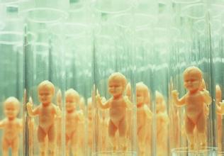 PGT实验室
